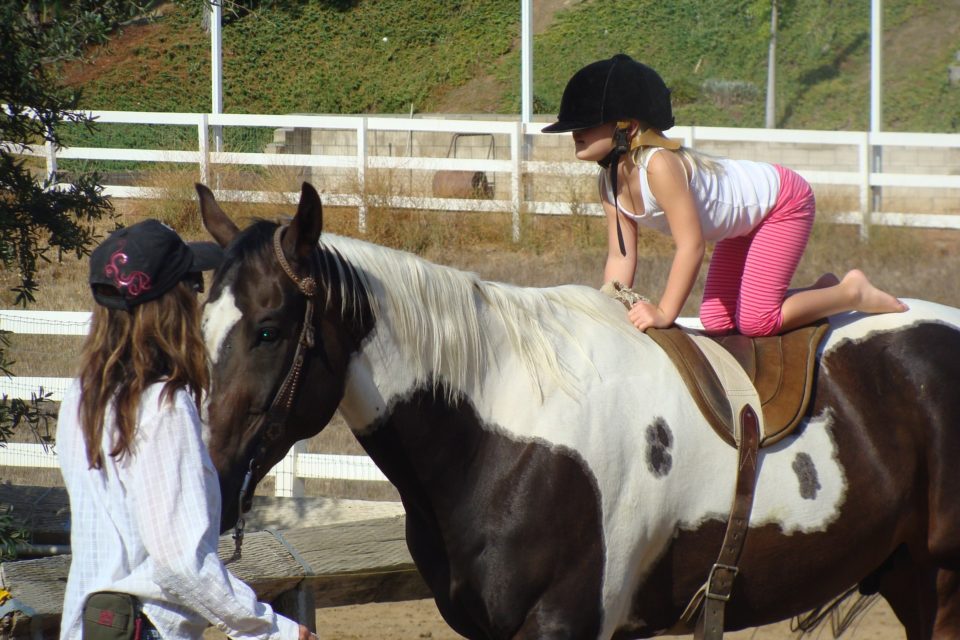 learning-to-ride-2043681_1920